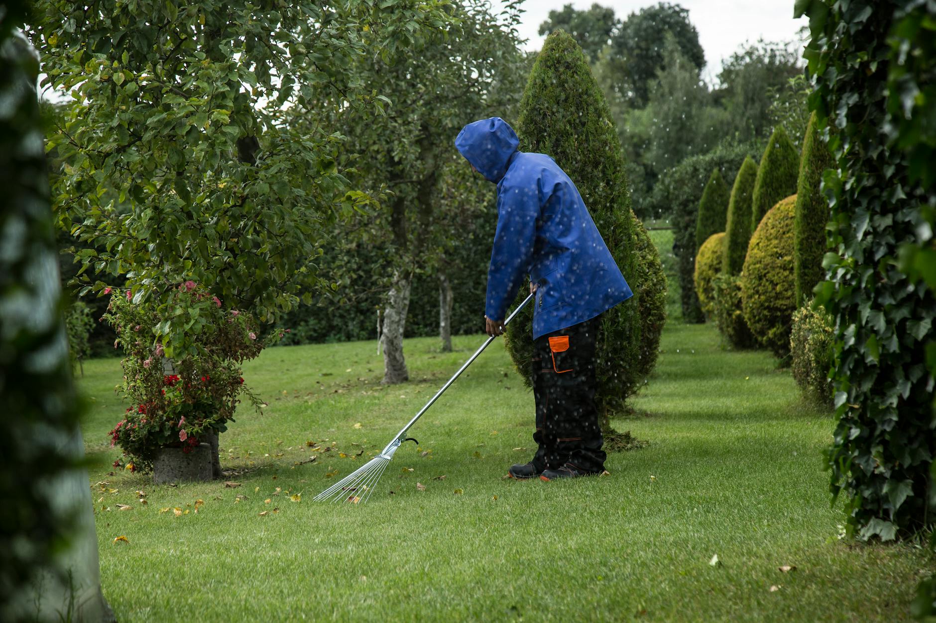 Revitalize Your Lawn: Spring Cleaning and Care Guide