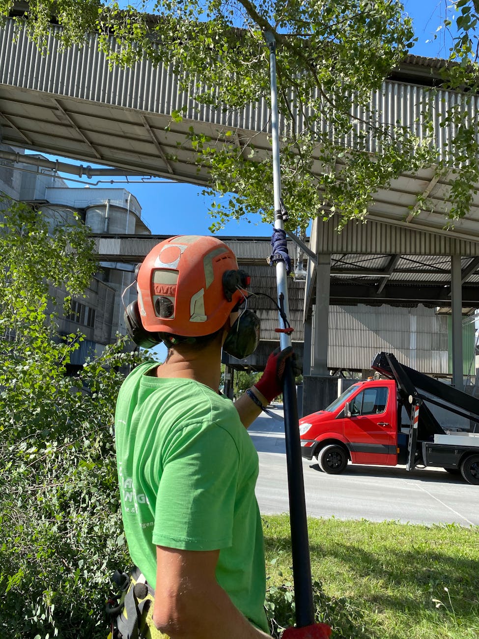 man in helmet cut tree with equipment